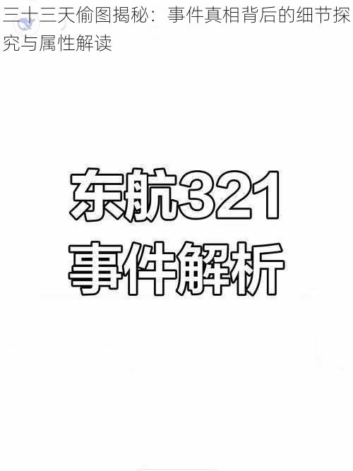 三十三天偷图揭秘：事件真相背后的细节探究与属性解读