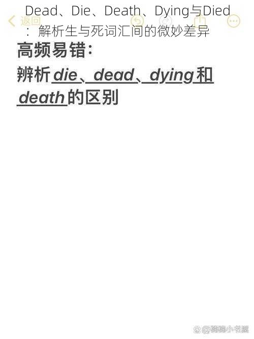 Dead、Die、Death、Dying与Died：解析生与死词汇间的微妙差异