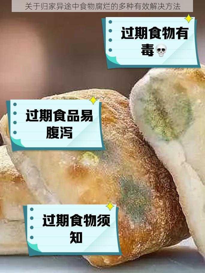 关于归家异途中食物腐烂的多种有效解决方法