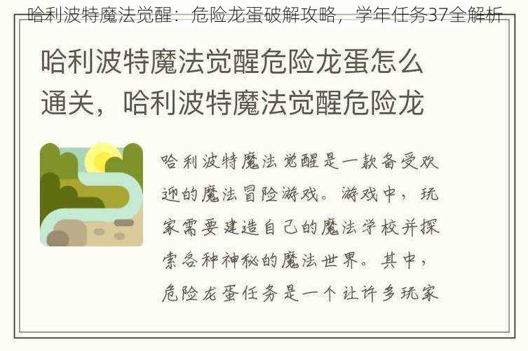 哈利波特魔法觉醒：危险龙蛋破解攻略，学年任务37全解析