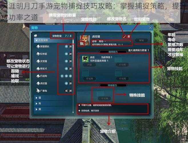 天涯明月刀手游宠物捕捉技巧攻略：掌握捕捉策略，提升成功率之道