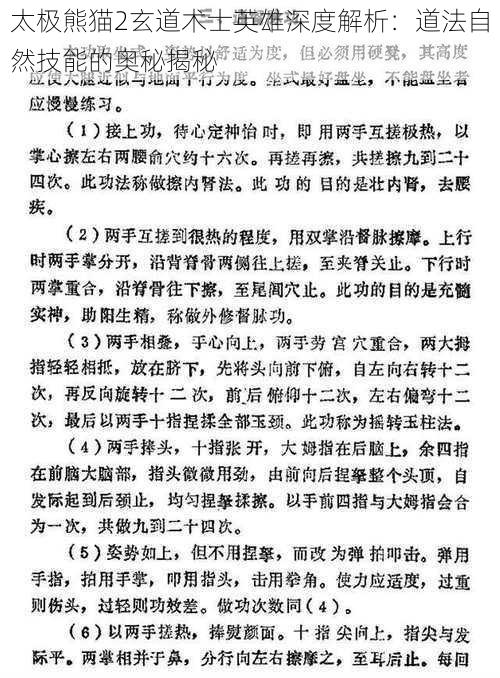 太极熊猫2玄道术士英雄深度解析：道法自然技能的奥秘揭秘